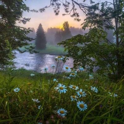 欧意app下载安装截图